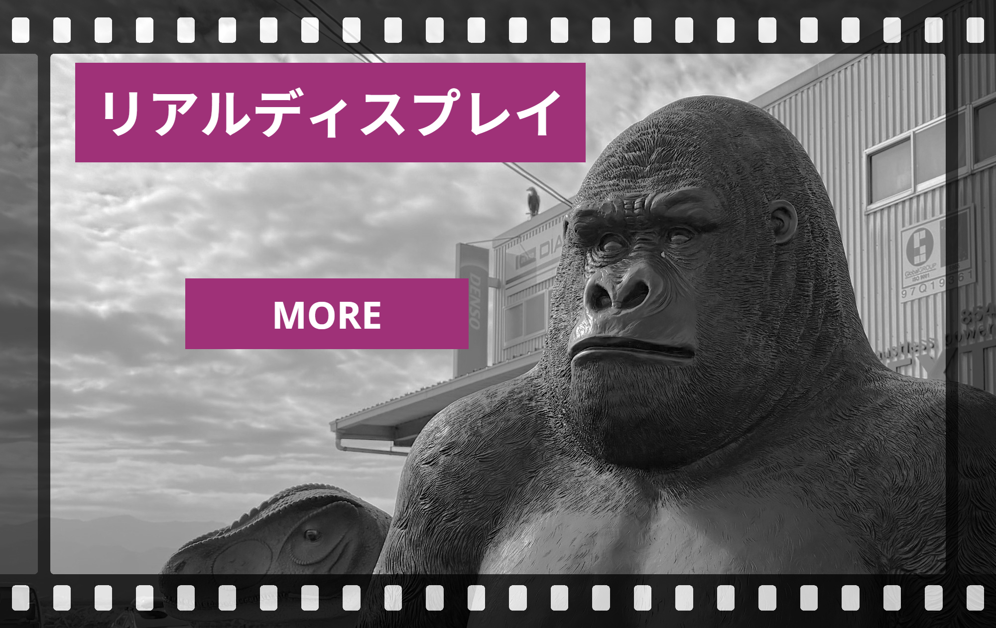 リアルディスプレイ